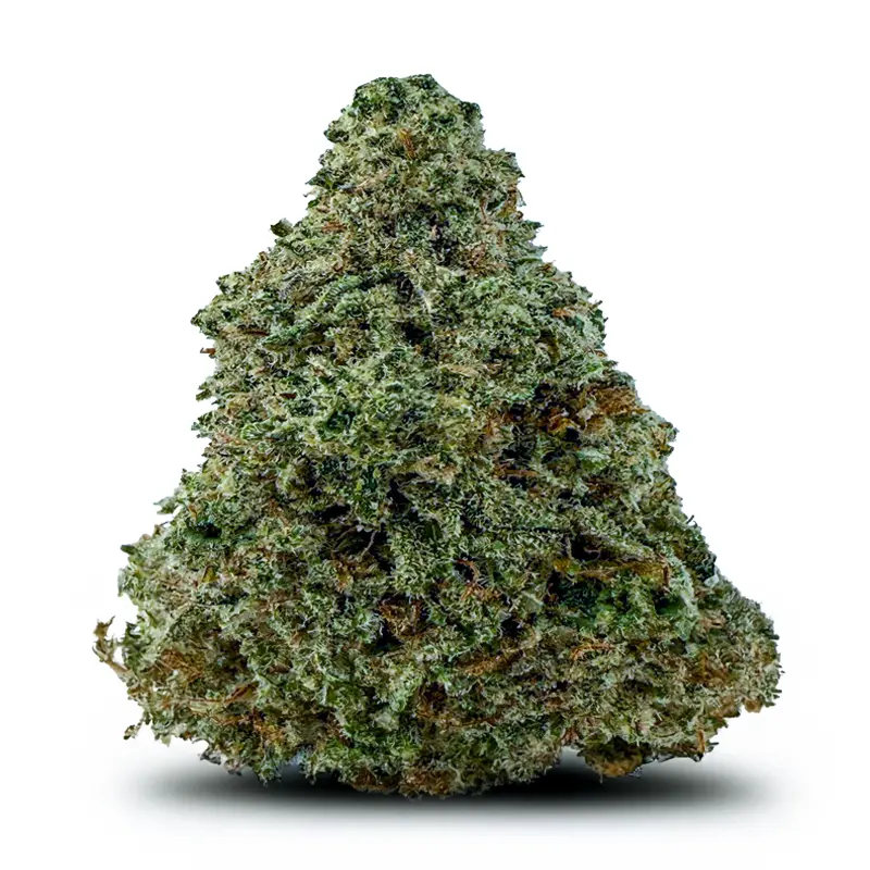 JACKHAZE