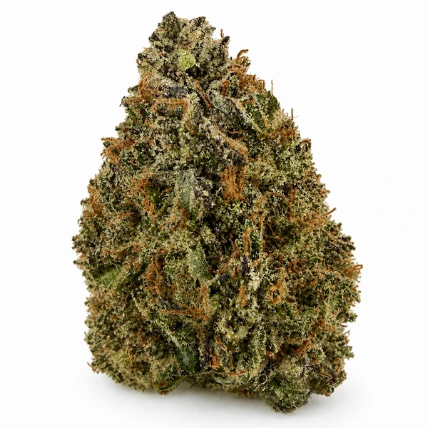 509 Jedi Pink exotic cannabis flower
