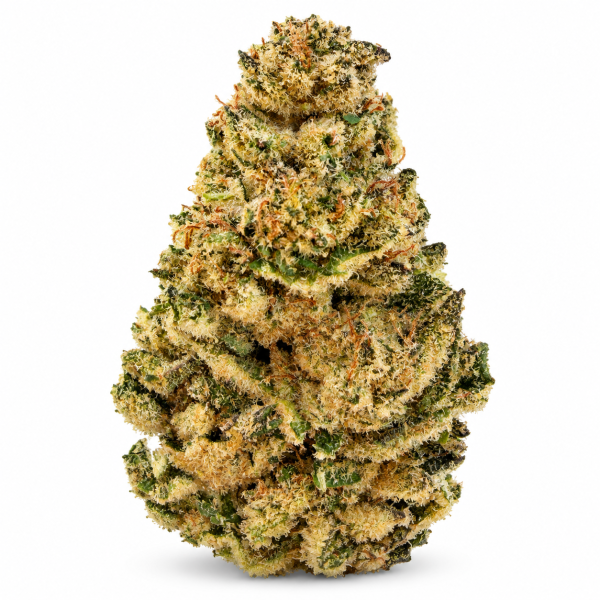 307 Sticky Glue Kush cannabis flower showcase